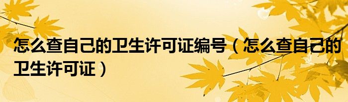 怎么查自己的衛(wèi)生許可證編號（怎么查自己的衛(wèi)生許可證）