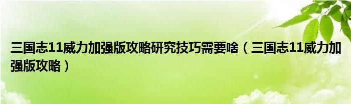 三國(guó)志11威力加強(qiáng)版攻略研究技巧需要啥（三國(guó)志11威力加強(qiáng)版攻略）
