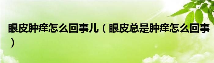 眼皮腫癢怎么回事兒（眼皮總是腫癢怎么回事）