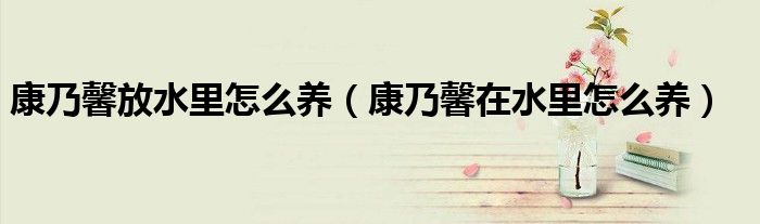 康乃馨放水里怎么養(yǎng)（康乃馨在水里怎么養(yǎng)）