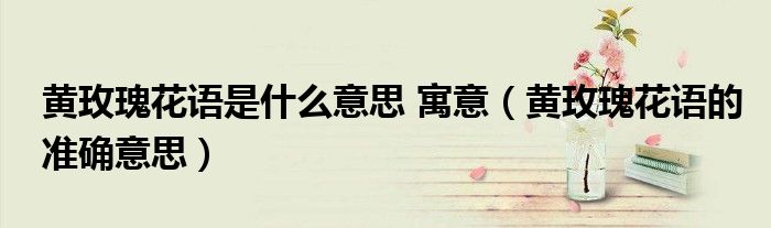 黃玫瑰花語(yǔ)是什么意思 寓意（黃玫瑰花語(yǔ)的準(zhǔn)確意思）