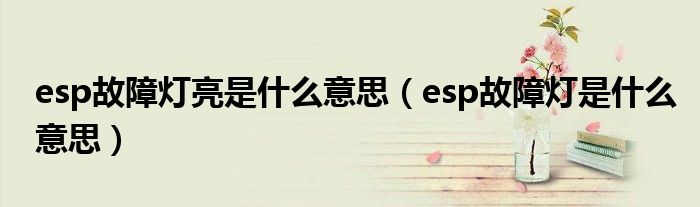 esp故障燈亮是什么意思（esp故障燈是什么意思）