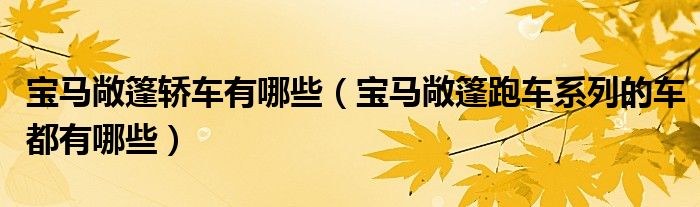 寶馬敞篷轎車有哪些（寶馬敞篷跑車系列的車都有哪些）