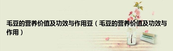 毛豆的營(yíng)養(yǎng)價(jià)值及功效與作用豆（毛豆的營(yíng)養(yǎng)價(jià)值及功效與作用）