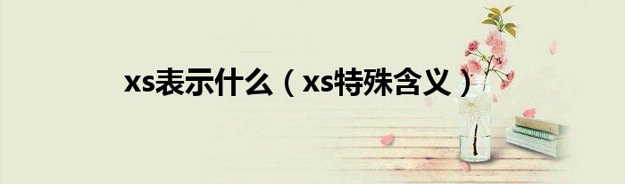 xs表示什么（xs特殊含義）