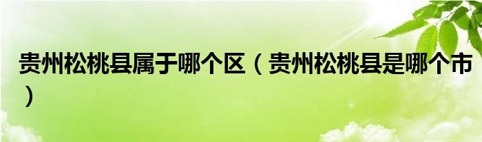 貴州松桃縣屬于哪個區(qū)（貴州松桃縣是哪個市）