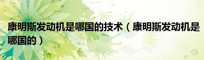 康明斯發(fā)動機(jī)是哪國的技術(shù)（康明斯發(fā)動機(jī)是哪國的）