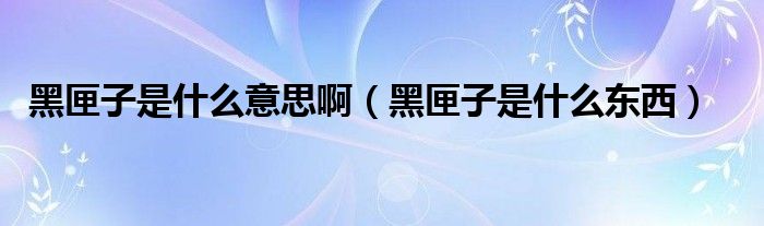 黑匣子是什么意思?。ê谙蛔邮鞘裁礀|西）