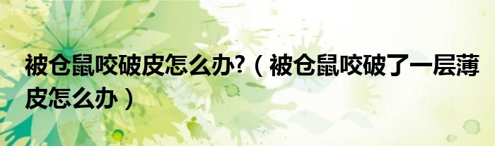 被倉(cāng)鼠咬破皮怎么辦?（被倉(cāng)鼠咬破了一層薄皮怎么辦）