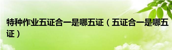 特種作業(yè)五證合一是哪五證（五證合一是哪五證）