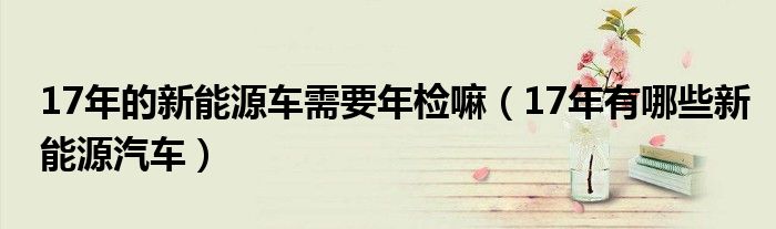 17年的新能源車需要年檢嘛（17年有哪些新能源汽車）