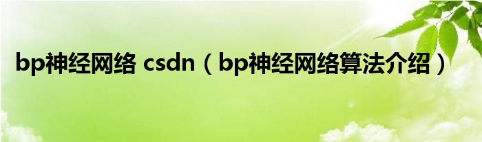bp神經(jīng)網(wǎng)絡(luò) csdn（bp神經(jīng)網(wǎng)絡(luò)算法介紹）