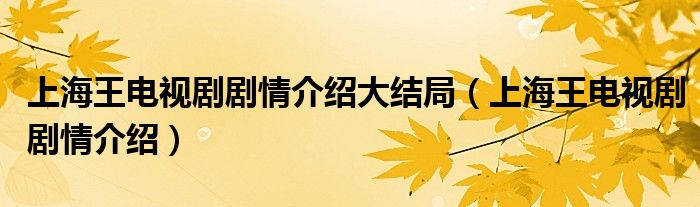 上海王電視劇劇情介紹大結(jié)局（上海王電視劇劇情介紹）