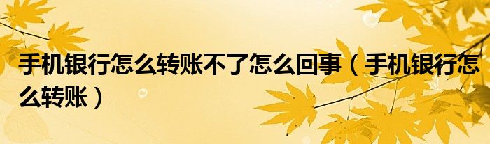 手機(jī)銀行怎么轉(zhuǎn)賬不了怎么回事（手機(jī)銀行怎么轉(zhuǎn)賬）