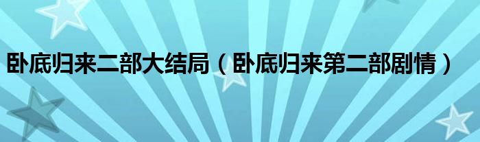 臥底歸來(lái)二部大結(jié)局（臥底歸來(lái)第二部劇情）