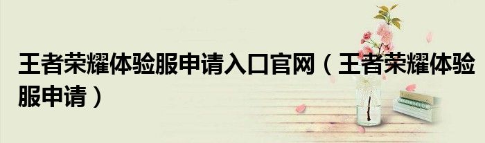 王者榮耀體驗(yàn)服申請入口官網(wǎng)（王者榮耀體驗(yàn)服申請）