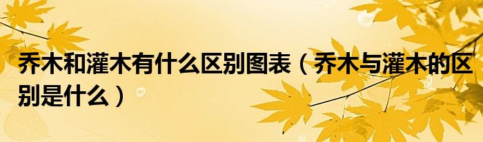 喬木和灌木有什么區(qū)別圖表（喬木與灌木的區(qū)別是什么）