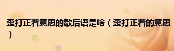 歪打正著意思的歇后語是啥（歪打正著的意思）