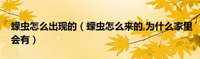 蠓蟲(chóng)怎么出現(xiàn)的（蠓蟲(chóng)怎么來(lái)的,為什么家里會(huì)有）