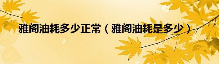 雅閣油耗多少正常（雅閣油耗是多少）
