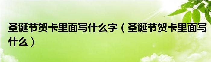圣誕節(jié)賀卡里面寫什么字（圣誕節(jié)賀卡里面寫什么）
