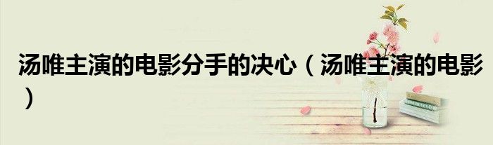 湯唯主演的電影分手的決心（湯唯主演的電影）