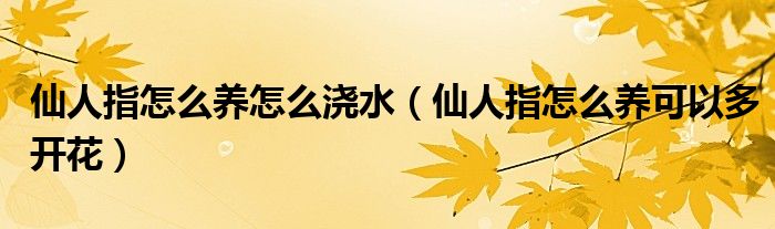 仙人指怎么養(yǎng)怎么澆水（仙人指怎么養(yǎng)可以多開花）