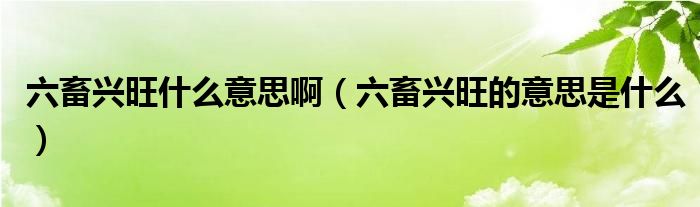 六畜興旺什么意思?。笈d旺的意思是什么）