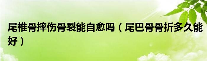尾椎骨摔傷骨裂能自愈嗎（尾巴骨骨折多久能好）