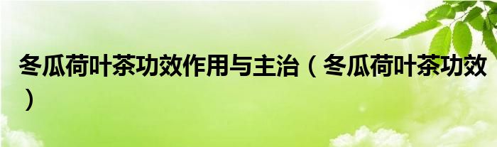 冬瓜荷葉茶功效作用與主治（冬瓜荷葉茶功效）