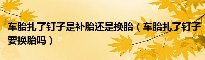 車胎扎了釘子是補(bǔ)胎還是換胎（車胎扎了釘子要換胎嗎）
