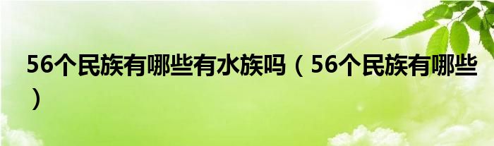 56個(gè)民族有哪些有水族嗎（56個(gè)民族有哪些）