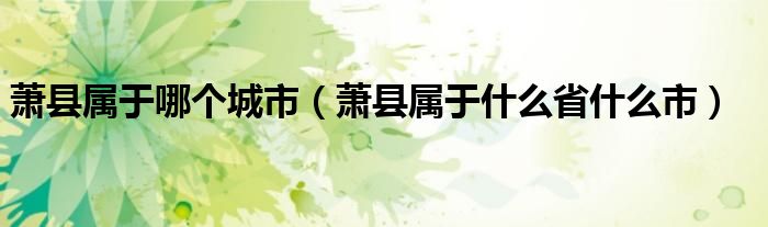蕭縣屬于哪個(gè)城市（蕭縣屬于什么省什么市）