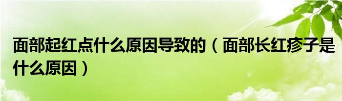面部起紅點什么原因?qū)е碌模娌块L紅疹子是什么原因）