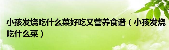 小孩發(fā)燒吃什么菜好吃又營養(yǎng)食譜（小孩發(fā)燒吃什么菜）