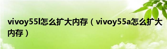 vivoy55l怎么擴(kuò)大內(nèi)存（vivoy55a怎么擴(kuò)大內(nèi)存）