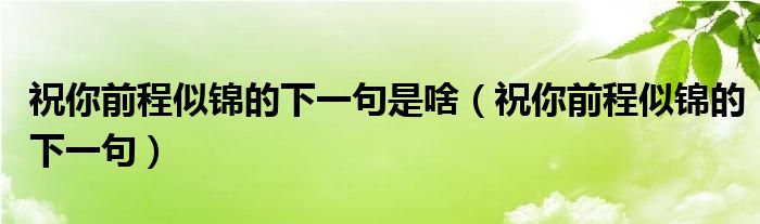 祝你前程似錦的下一句是啥（祝你前程似錦的下一句）