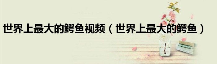 世界上最大的鱷魚視頻（世界上最大的鱷魚）