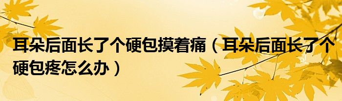 耳朵后面長(zhǎng)了個(gè)硬包摸著痛（耳朵后面長(zhǎng)了個(gè)硬包疼怎么辦）