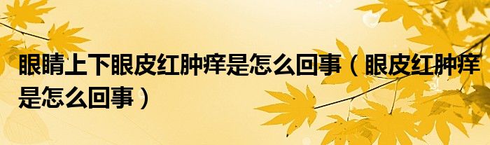 眼睛上下眼皮紅腫癢是怎么回事（眼皮紅腫癢是怎么回事）