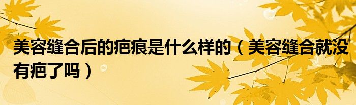 美容縫合后的疤痕是什么樣的（美容縫合就沒有疤了嗎）