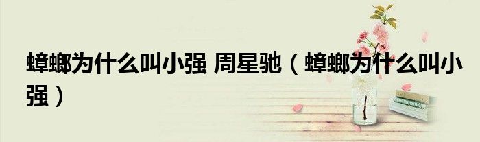 蟑螂為什么叫小強 周星馳（蟑螂為什么叫小強）