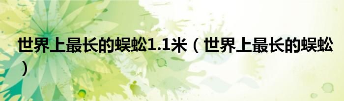 世界上最長的蜈蚣1.1米（世界上最長的蜈蚣）