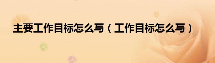 主要工作目標(biāo)怎么寫（工作目標(biāo)怎么寫）