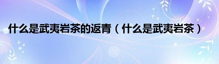 什么是武夷巖茶的返青（什么是武夷巖茶）