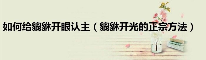 如何給貔貅開眼認(rèn)主（貔貅開光的正宗方法）