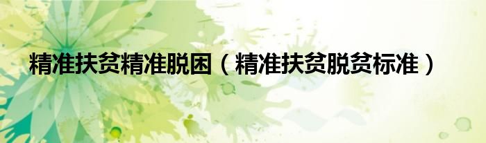 精準(zhǔn)扶貧精準(zhǔn)脫困（精準(zhǔn)扶貧脫貧標(biāo)準(zhǔn)）