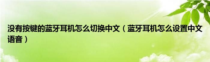 沒有按鍵的藍牙耳機怎么切換中文（藍牙耳機怎么設(shè)置中文語音）