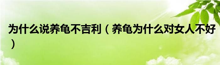 為什么說養(yǎng)龜不吉利（養(yǎng)龜為什么對女人不好）