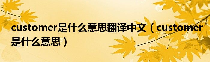 customer是什么意思翻譯中文（customer是什么意思）